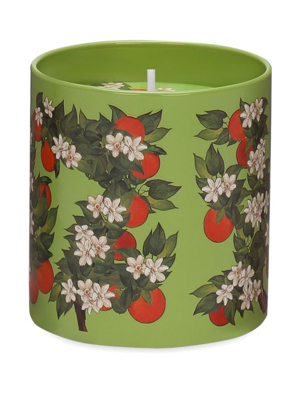 Browns Dolce & Gabbana Sicilian Orange Candle (380g) | Browns Candles