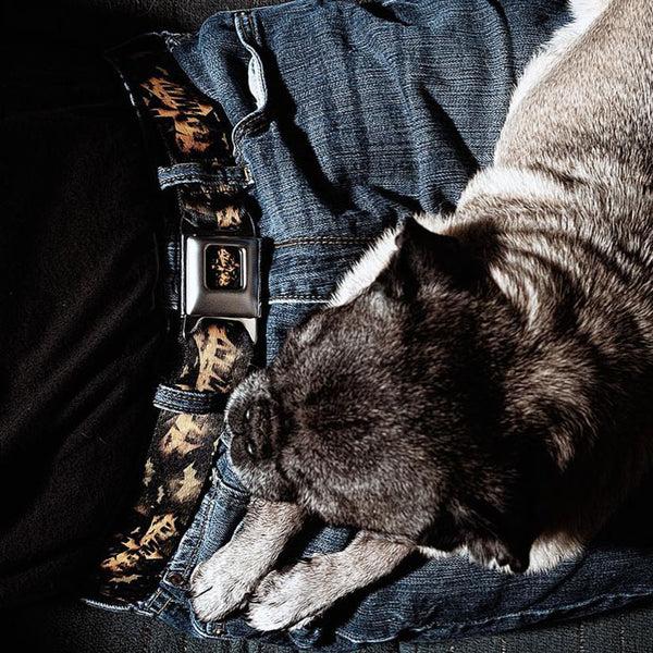 Buckle Down BATMAN-JL Bats Scattered Full Color Black Yellows Seatbelt Belt - JUSTICE LEAGUE-BATMAN Bats Scattered Black/Yellows Webbing