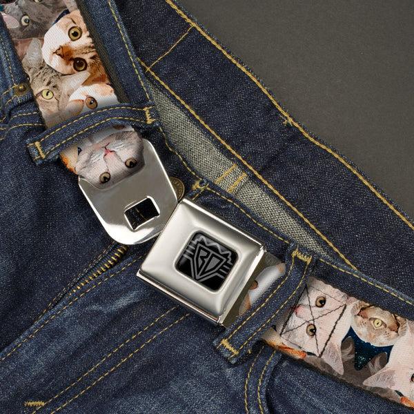 Buckle Down BD Wings Logo CLOSE-UP Black/Silver Seatbelt Belt - Cat Faces Stacked Webbing