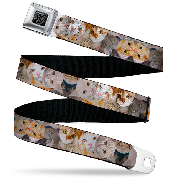 buckle down BD Wings Logo CLOSE-UP Black/Silver Seatbelt Belt - Cat Faces Stacked Webbing