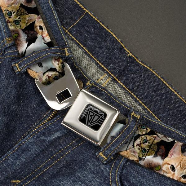 Buckle Down BD Wings Logo CLOSE-UP Black/Silver Seatbelt Belt - Cat Faces Stacked2 Webbing