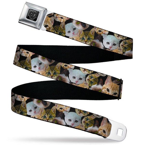 buckle down BD Wings Logo CLOSE-UP Black/Silver Seatbelt Belt - Cat Faces Stacked2 Webbing