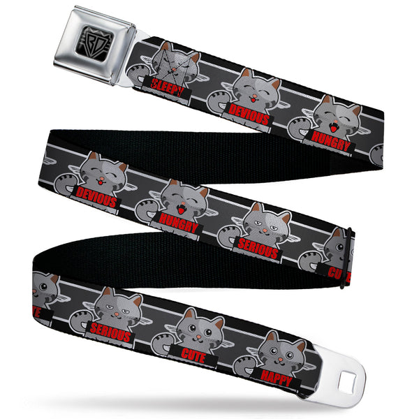 buckle down BD Wings Logo CLOSE-UP Black/Silver Seatbelt Belt - Cat 6-Mood Poses/Stripe Black/White/Grays Webbing