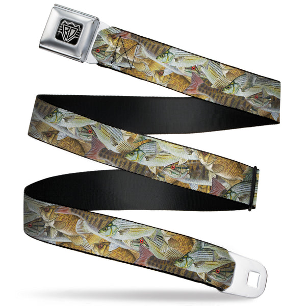 buckle down BD Wings Logo CLOSE-UP Full Color Black Silver Seatbelt Belt - Fishes Stacked Webbing