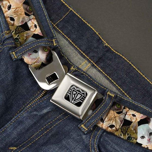 Buckle Down BD Wings Logo CLOSE-UP Full Color Black Silver Seatbelt Belt - Kitten Faces Scattered Black Webbing