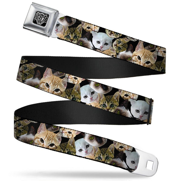 buckle down BD Wings Logo CLOSE-UP Full Color Black Silver Seatbelt Belt - Kitten Faces Scattered Black Webbing
