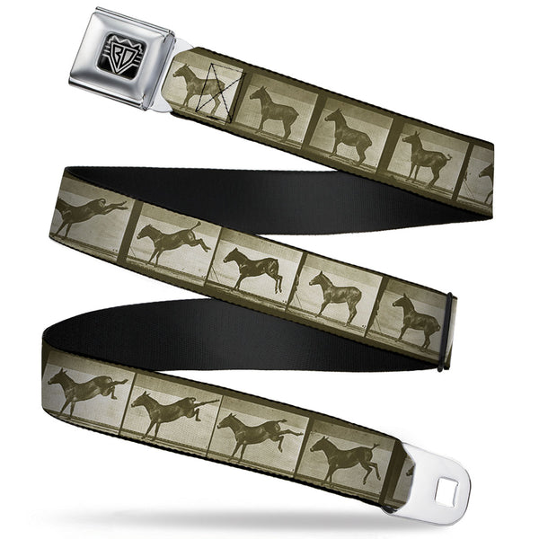 buckle down BD Wings Logo CLOSE-UP Full Color Black Silver Seatbelt Belt - Bucking Donkey Vintage Film Strip Webbing