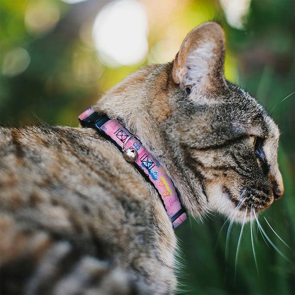 Buckle Down Breakaway Cat Collar With Bell - BARBIE Script Signature Collage Pink/Multi Color