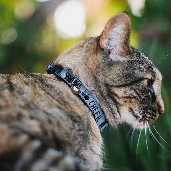 Buckle Down Breakaway Cat Collar With Bell - CHARLIE BROWN Poses And Quotes Light Blue/Black