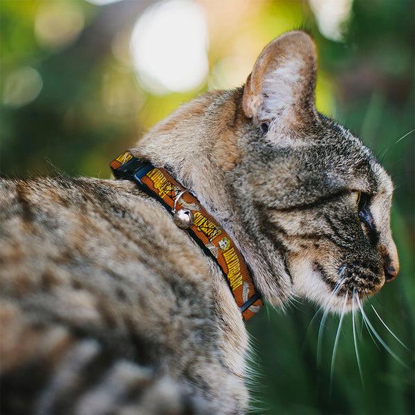 Buckle Down Breakaway Cat Collar With Bell - Grateful Dead SUNSHINE DAYDREAM Skeleton Orange