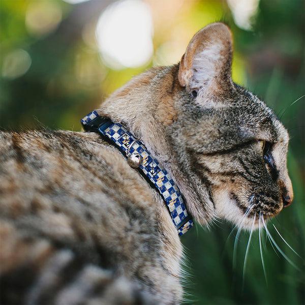 Buckle Down Breakaway Cat Collar With Bell - Harry Potter Butterbeer Logo Checker White/Blue/Yellow