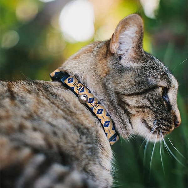 Buckle Down Breakaway Cat Collar With Bell - HARRY POTTER Butterbeer Diamond Logo White/Yellow/Blue