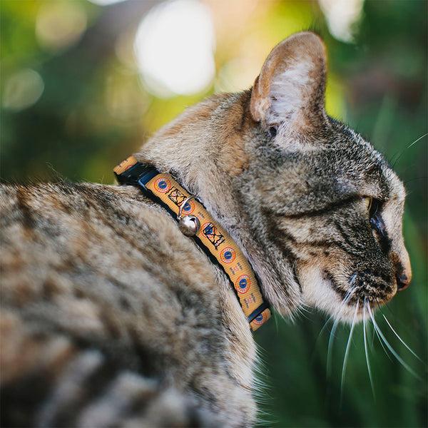 Buckle Down Breakaway Cat Collar With Bell - HARRY POTTER SINCE 1867 FINEST BUTTERBEER Icon Yellow/Blue/Red