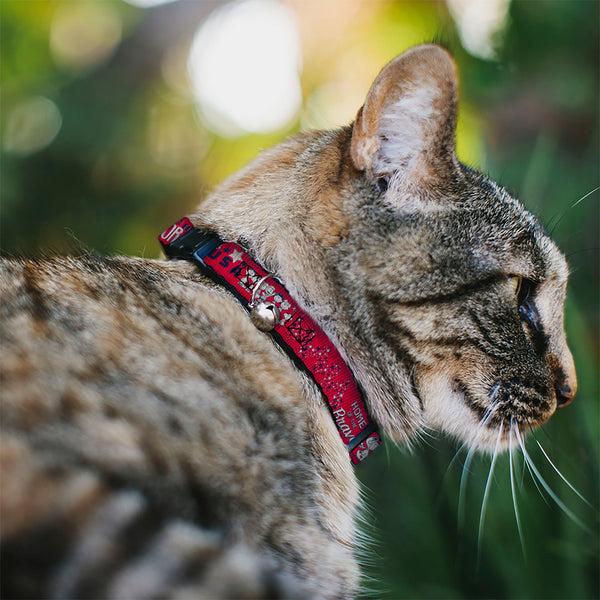 Buckle Down Breakaway Cat Collar With Bell - Peanuts Gang AMERICAN SUMMER Poses Red/Blue/White
