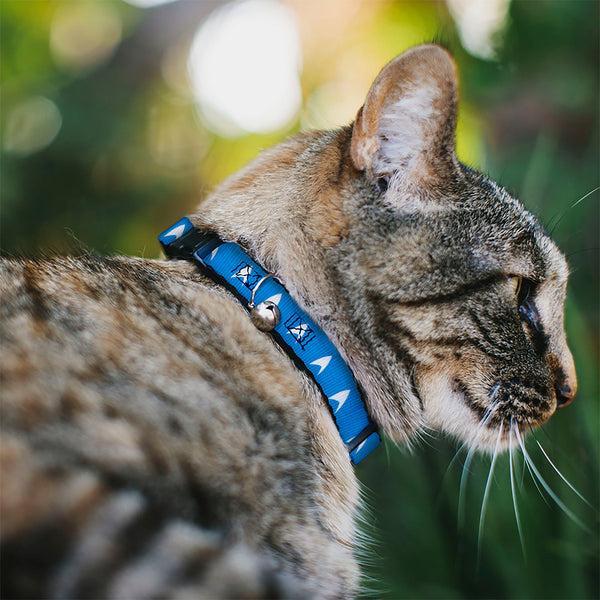 Buckle Down Breakaway Cat Collar With Bell - Star Trek Starfleet Insignia Blue/White
