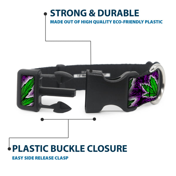 Buckle Down Buckle-Down Plastic Buckle Dog Collar - Marijuana Haze Purple
