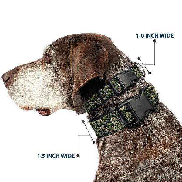 Buckle Down Buckle-Down Plastic Buckle Dog Collar - Nuggets Stacked