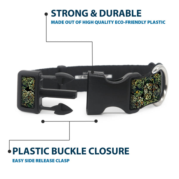 Buckle Down Buckle-Down Plastic Buckle Dog Collar - Nuggets Stacked
