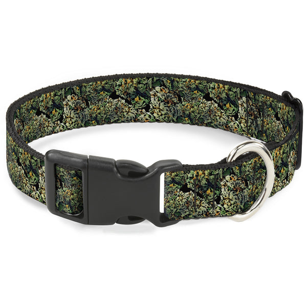 buckle down Buckle-Down Plastic Buckle Dog Collar - Nuggets Stacked