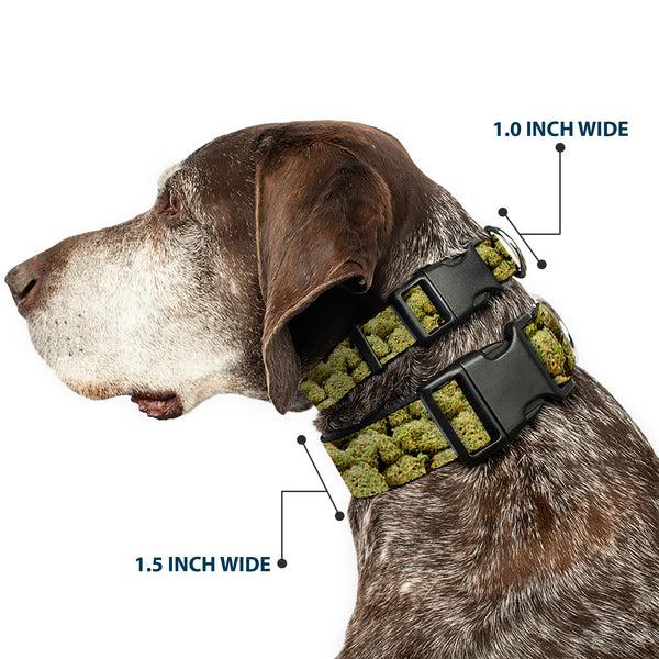 Buckle Down Buckle-Down Plastic Buckle Dog Collar - Vivid Marijuana Nugs2 Stacked