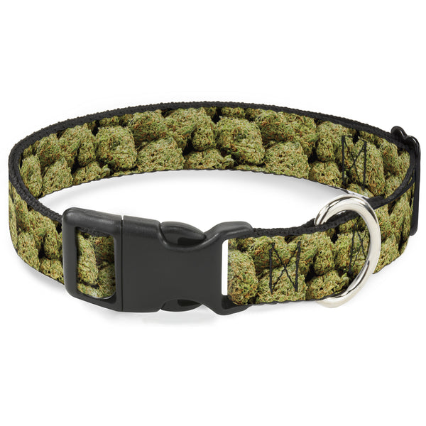buckle down Buckle-Down Plastic Buckle Dog Collar - Vivid Marijuana Nugs2 Stacked