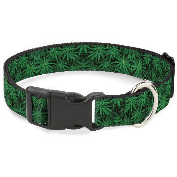 buckle down Buckle-Down Plastic Buckle Dog Collar - Vivid Marijuana Leaves Stacked