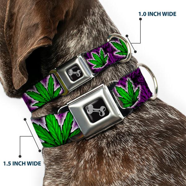 Buckle Down Buckle-Down Seatbelt Buckle Dog Collar - Marijuana Haze Purple