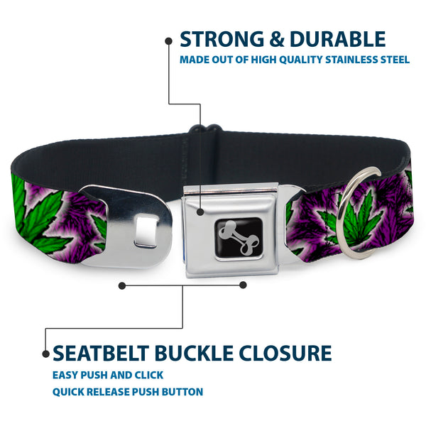 Buckle Down Buckle-Down Seatbelt Buckle Dog Collar - Marijuana Haze Purple