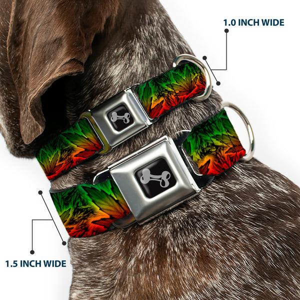 Buckle Down Buckle-Down Seatbelt Buckle Dog Collar - Marijuana Haze Rasta/Rasta