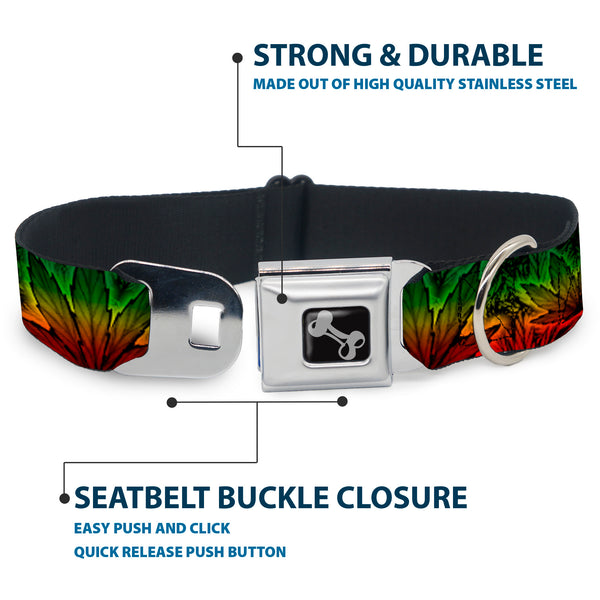 Buckle Down Buckle-Down Seatbelt Buckle Dog Collar - Marijuana Haze Rasta/Rasta