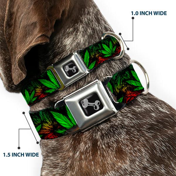 Buckle Down Buckle-Down Seatbelt Buckle Dog Collar - Marijuana Haze Rasta/Black