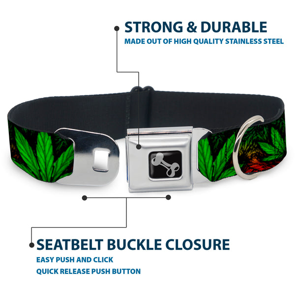 Buckle Down Buckle-Down Seatbelt Buckle Dog Collar - Marijuana Haze Rasta/Black