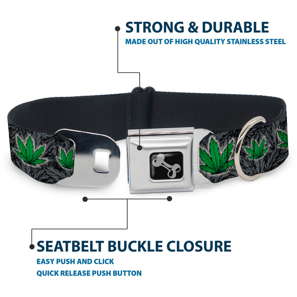 Buckle Down Buckle-Down Seatbelt Buckle Dog Collar - Marijuana Haze Black