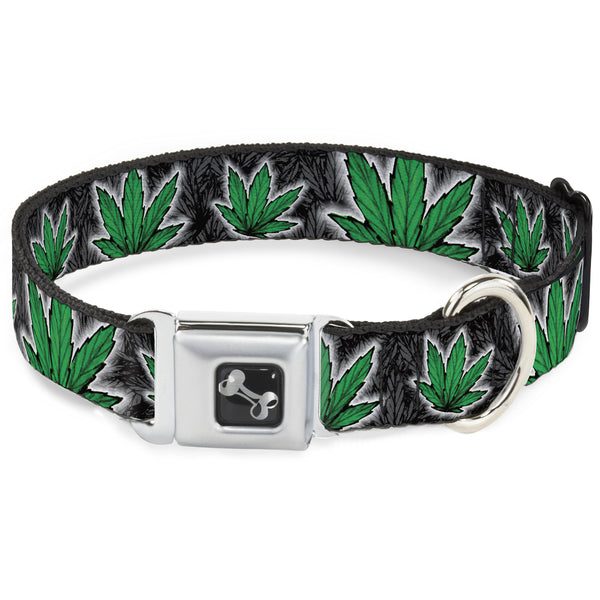 buckle down Buckle-Down Seatbelt Buckle Dog Collar - Marijuana Haze Black
