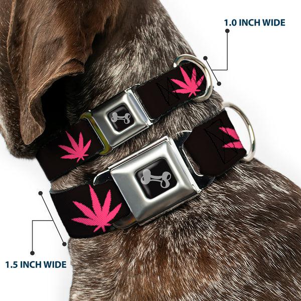 Buckle Down Buckle-Down Seatbelt Buckle Dog Collar - Marijuana Leaf Repeat Black/Pink