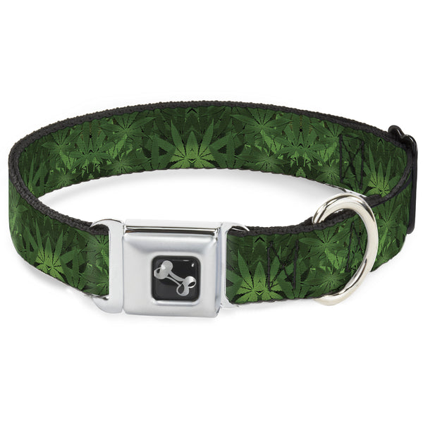 buckle down Buckle-Down Seatbelt Buckle Dog Collar - Marijuana Leaves Stacked