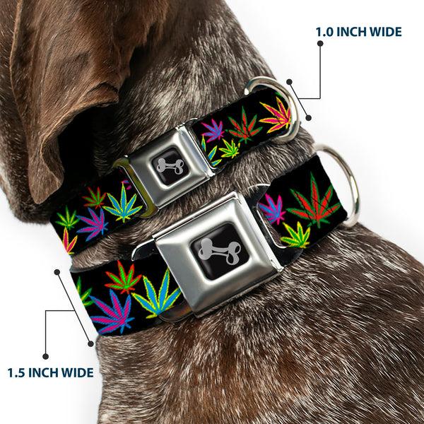Buckle Down Buckle-Down Seatbelt Buckle Dog Collar - Multi Marijuana Leaves Black/Multi Color