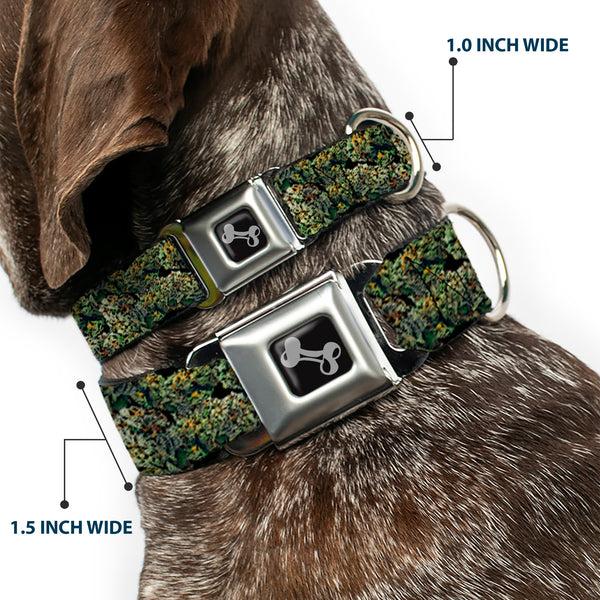 Buckle Down Buckle-Down Seatbelt Buckle Dog Collar - Nuggets Stacked