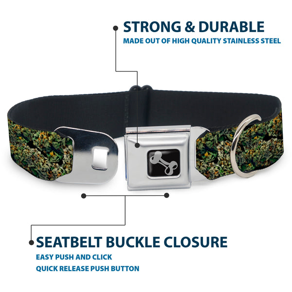 Buckle Down Buckle-Down Seatbelt Buckle Dog Collar - Nuggets Stacked