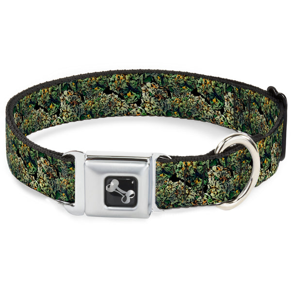 buckle down Buckle-Down Seatbelt Buckle Dog Collar - Nuggets Stacked