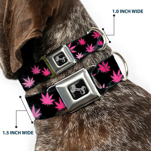 Buckle Down Buckle-Down Seatbelt Buckle Dog Collar - Pot Leaves/Smoke Black/Pink/White