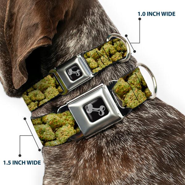 Buckle Down Buckle-Down Seatbelt Buckle Dog Collar - Vivid Marijuana Nugs2 Stacked