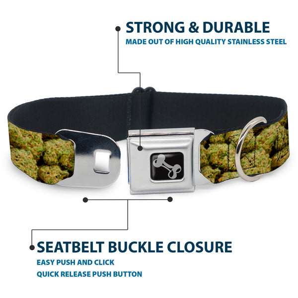 Buckle Down Buckle-Down Seatbelt Buckle Dog Collar - Vivid Marijuana Nugs2 Stacked
