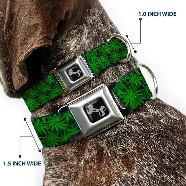 Buckle Down Buckle-Down Seatbelt Buckle Dog Collar - Vivid Marijuana Leaves Stacked