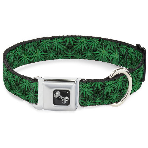 buckle down Buckle-Down Seatbelt Buckle Dog Collar - Vivid Marijuana Leaves Stacked
