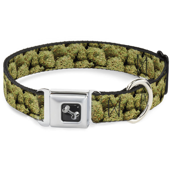 buckle down Buckle-Down Seatbelt Buckle Dog Collar - Vivid Marijuana Nugs2 Stacked