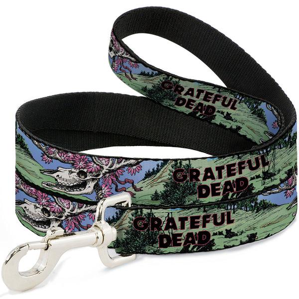 buckle down Dog Leash - Grateful Dead Dave's Picks Volume Nine Montana Cover Art