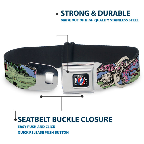 Buckle Down GRATEFUL DEAD Text With Steal Your Face Logo Full Color Black Seatbelt Buckle Collar - Grateful Dead Dave's Picks Volume Nine Montana Cover Art