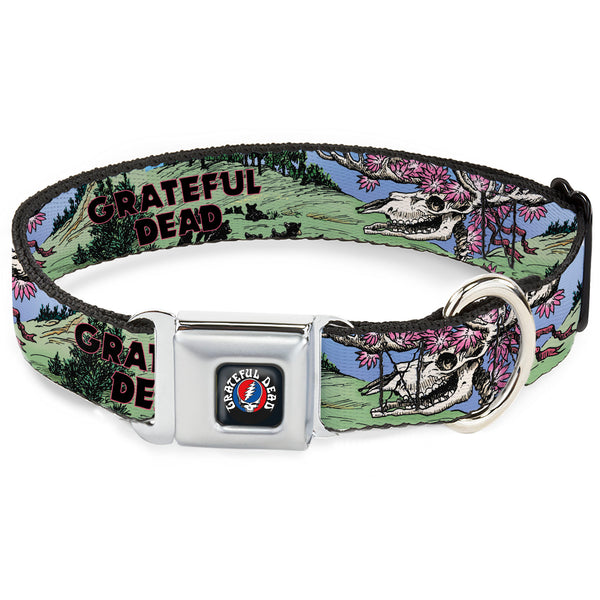 buckle down GRATEFUL DEAD Text with Steal Your Face Logo Full Color Black Seatbelt Buckle Collar - Grateful Dead Dave's Picks Volume Nine Montana Cover Art