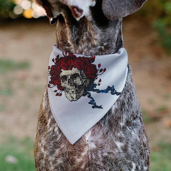 Buckle Down Pet Bandana - Grateful Dead Skull And Rose Face White